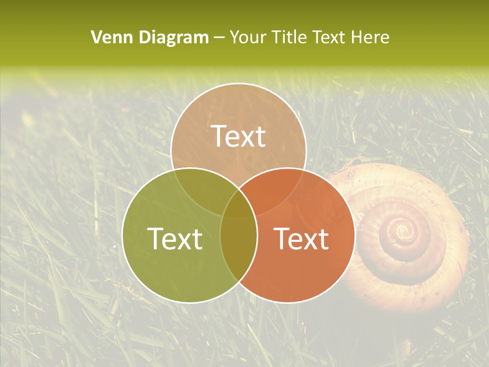 Decelerate Slowly Move PowerPoint Template