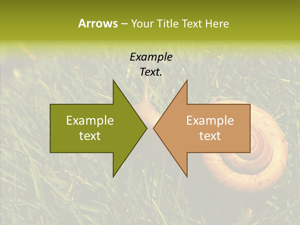 Decelerate Slowly Move PowerPoint Template