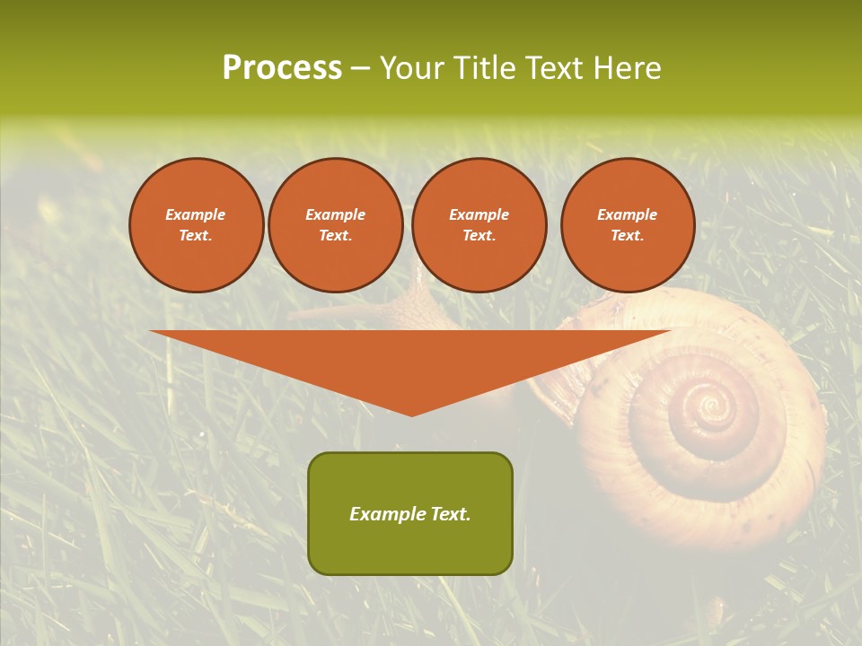 Decelerate Slowly Move PowerPoint Template