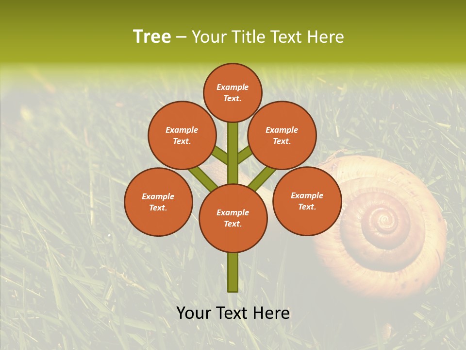 Decelerate Slowly Move PowerPoint Template