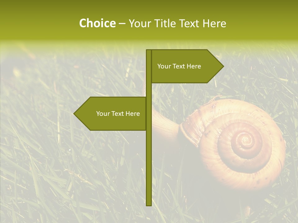 Decelerate Slowly Move PowerPoint Template