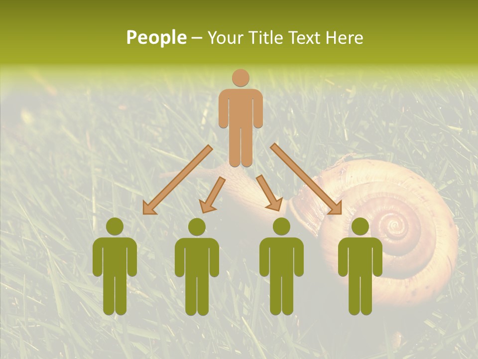 Decelerate Slowly Move PowerPoint Template