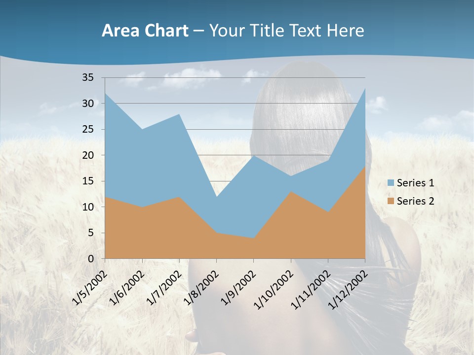 Company Office Together PowerPoint Template
