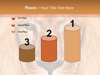 Cunning Zoo Elevated PowerPoint Template