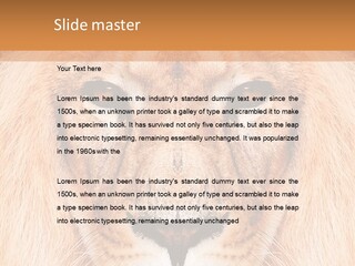 Cunning Zoo Elevated PowerPoint Template