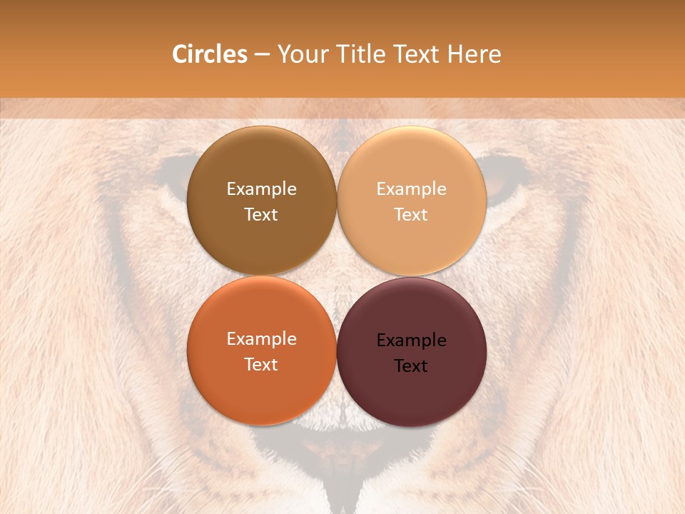 Cunning Zoo Elevated PowerPoint Template