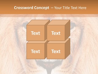 Cunning Zoo Elevated PowerPoint Template