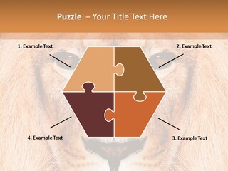 Cunning Zoo Elevated PowerPoint Template