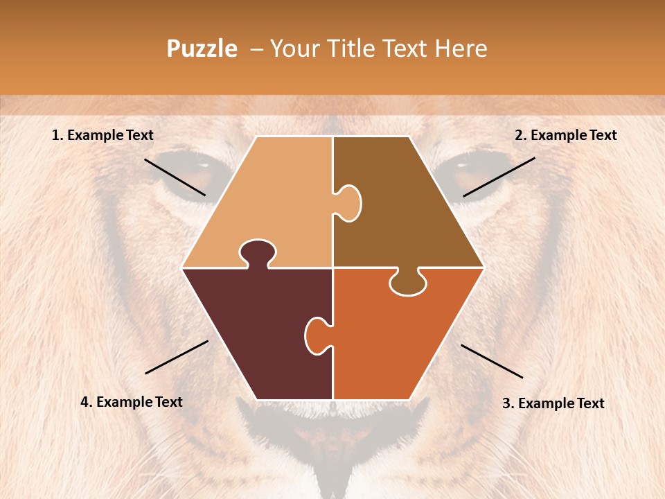 Cunning Zoo Elevated PowerPoint Template