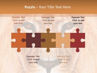 Cunning Zoo Elevated PowerPoint Template