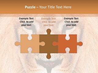 Cunning Zoo Elevated PowerPoint Template