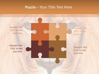 Cunning Zoo Elevated PowerPoint Template