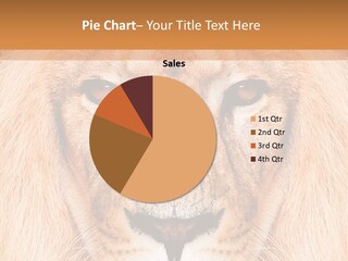 Cunning Zoo Elevated PowerPoint Template