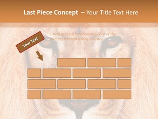 Cunning Zoo Elevated PowerPoint Template