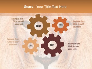 Cunning Zoo Elevated PowerPoint Template