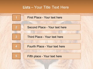 Cunning Zoo Elevated PowerPoint Template