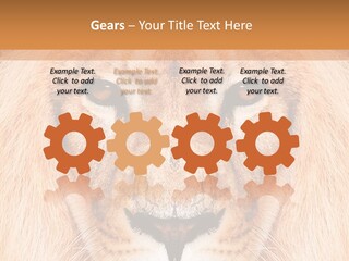 Cunning Zoo Elevated PowerPoint Template