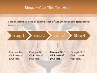 Cunning Zoo Elevated PowerPoint Template