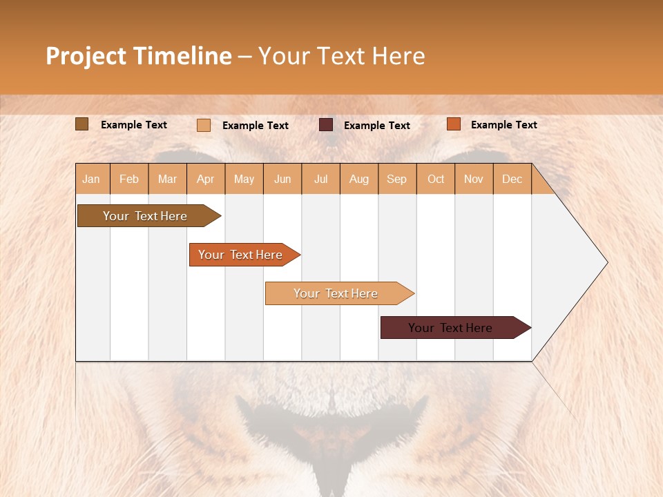 Cunning Zoo Elevated PowerPoint Template