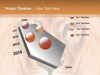 Cunning Zoo Elevated PowerPoint Template