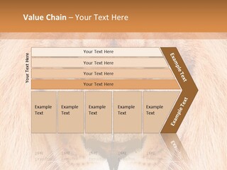Cunning Zoo Elevated PowerPoint Template