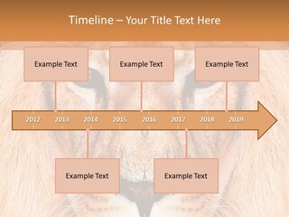 Cunning Zoo Elevated PowerPoint Template
