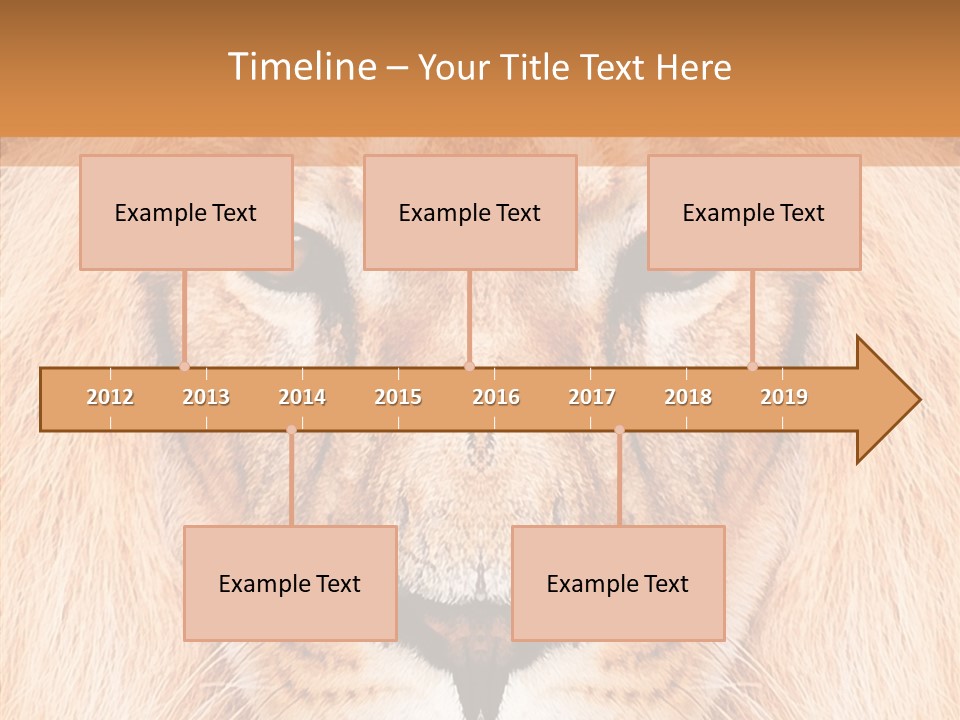 Cunning Zoo Elevated PowerPoint Template