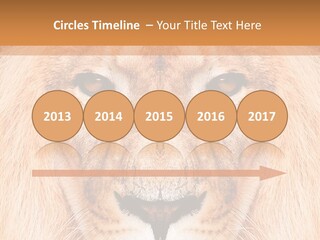 Cunning Zoo Elevated PowerPoint Template