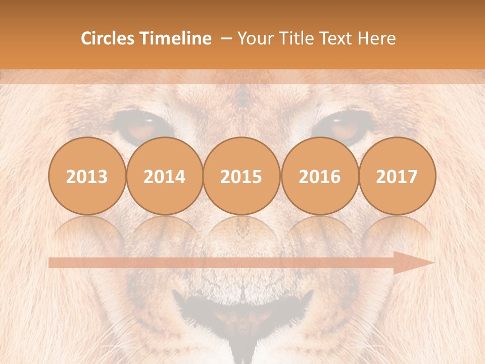 Cunning Zoo Elevated PowerPoint Template