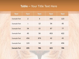 Cunning Zoo Elevated PowerPoint Template