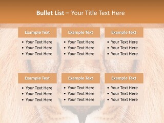 Cunning Zoo Elevated PowerPoint Template