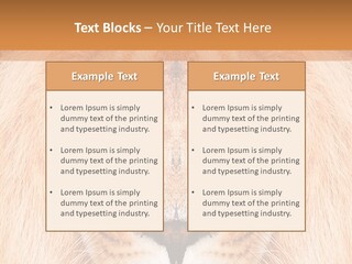 Cunning Zoo Elevated PowerPoint Template