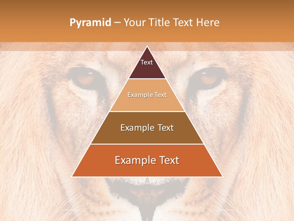 Cunning Zoo Elevated PowerPoint Template