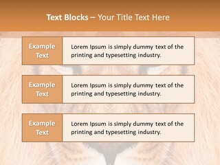 Cunning Zoo Elevated PowerPoint Template