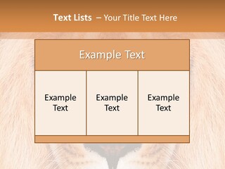 Cunning Zoo Elevated PowerPoint Template