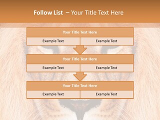 Cunning Zoo Elevated PowerPoint Template