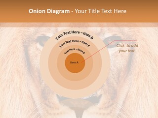 Cunning Zoo Elevated PowerPoint Template