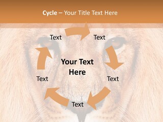 Cunning Zoo Elevated PowerPoint Template