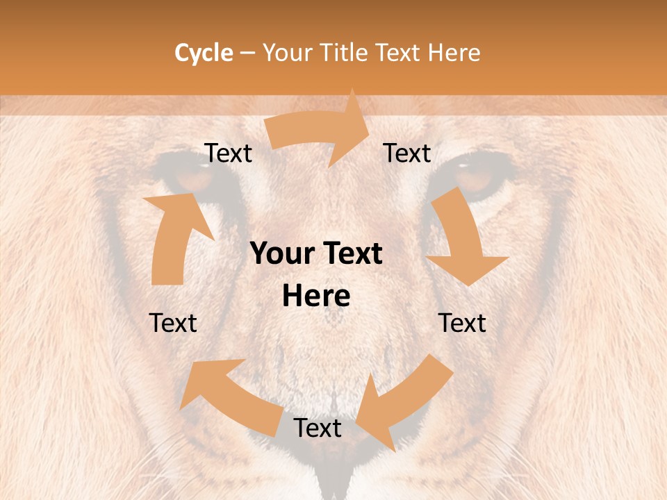 Cunning Zoo Elevated PowerPoint Template