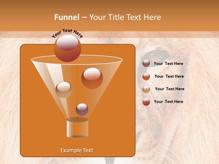 Cunning Zoo Elevated PowerPoint Template