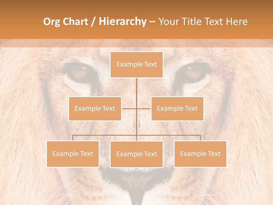 Cunning Zoo Elevated PowerPoint Template