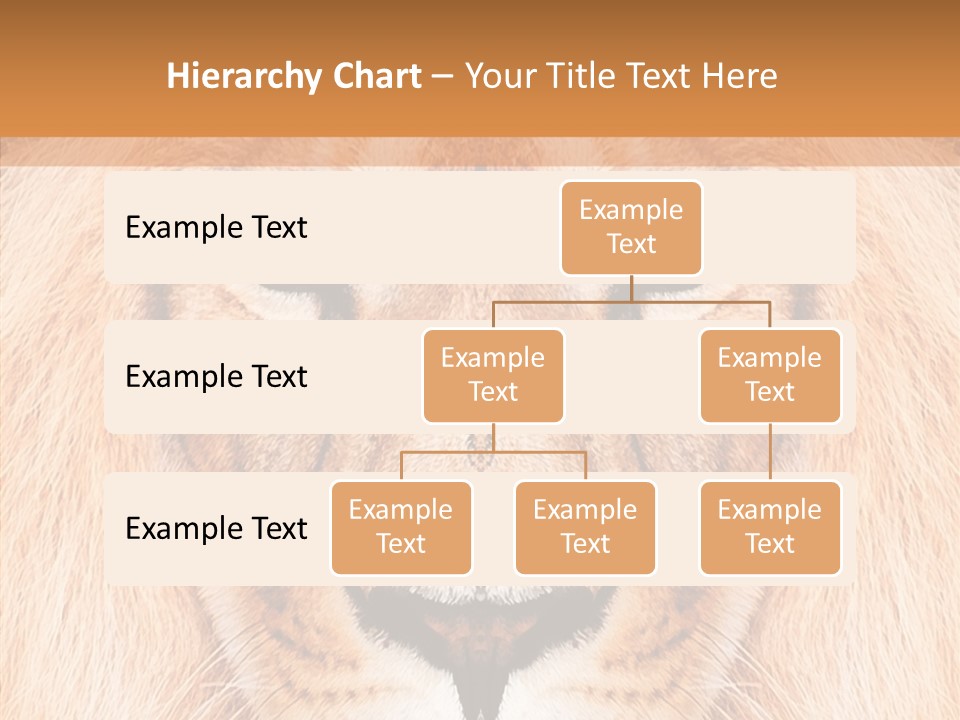 Cunning Zoo Elevated PowerPoint Template