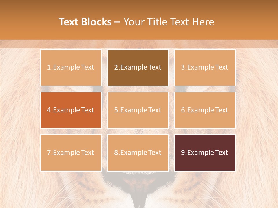 Cunning Zoo Elevated PowerPoint Template