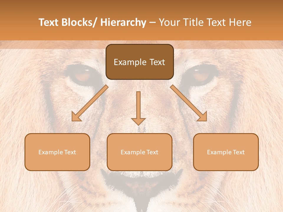 Cunning Zoo Elevated PowerPoint Template
