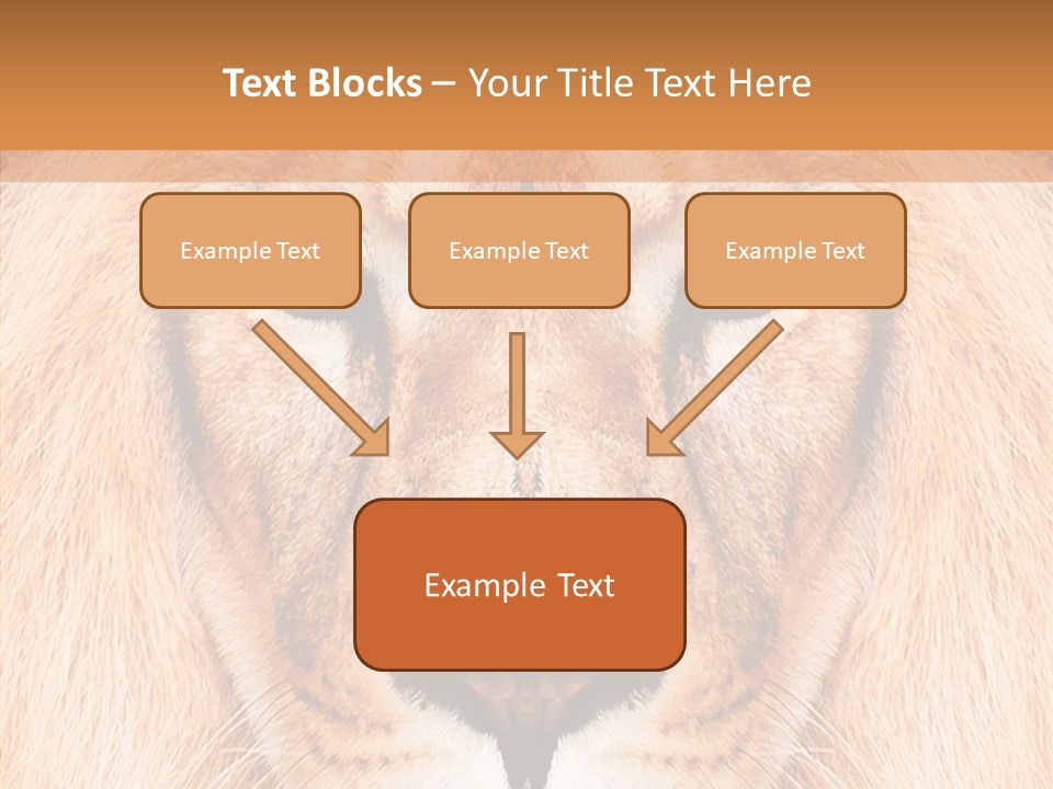 Cunning Zoo Elevated PowerPoint Template