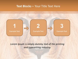 Cunning Zoo Elevated PowerPoint Template