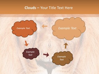 Cunning Zoo Elevated PowerPoint Template