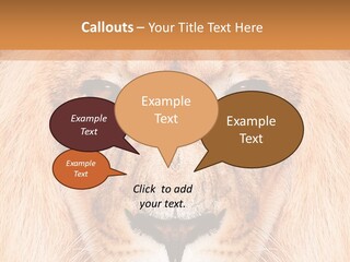 Cunning Zoo Elevated PowerPoint Template