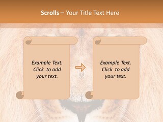 Cunning Zoo Elevated PowerPoint Template