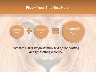 Cunning Zoo Elevated PowerPoint Template